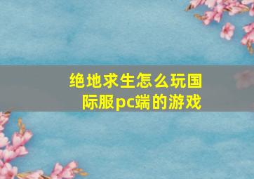 绝地求生怎么玩国际服pc端的游戏