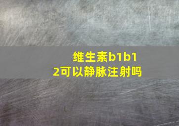 维生素b1b12可以静脉注射吗