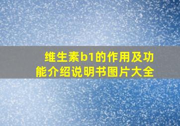 维生素b1的作用及功能介绍说明书图片大全