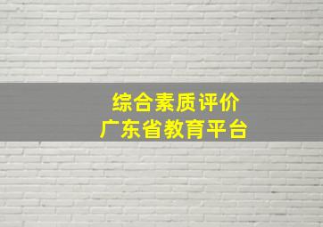 综合素质评价广东省教育平台