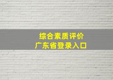 综合素质评价广东省登录入口