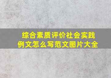 综合素质评价社会实践例文怎么写范文图片大全