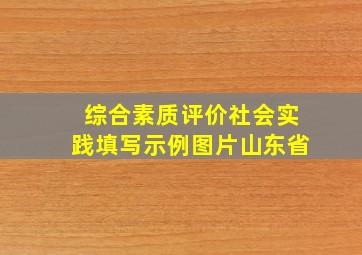 综合素质评价社会实践填写示例图片山东省