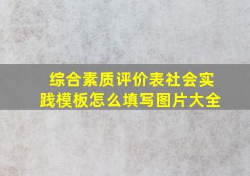 综合素质评价表社会实践模板怎么填写图片大全