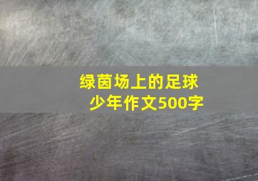 绿茵场上的足球少年作文500字