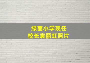 绿茵小学现任校长袁丽虹照片