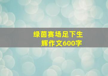 绿茵赛场足下生辉作文600字