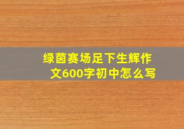 绿茵赛场足下生辉作文600字初中怎么写