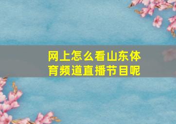 网上怎么看山东体育频道直播节目呢