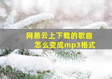 网易云上下载的歌曲怎么变成mp3格式