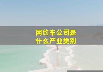 网约车公司是什么产业类别