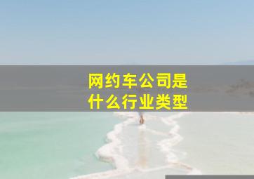 网约车公司是什么行业类型