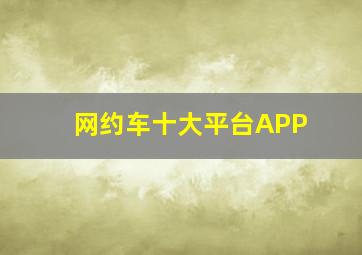 网约车十大平台APP