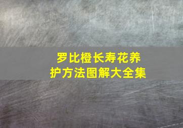 罗比橙长寿花养护方法图解大全集