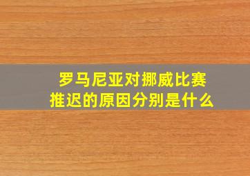 罗马尼亚对挪威比赛推迟的原因分别是什么