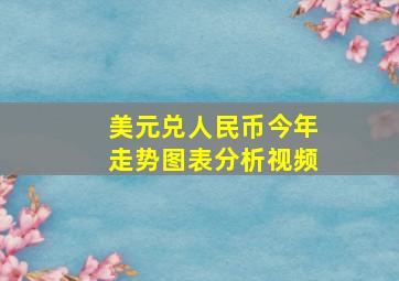 美元兑人民币今年走势图表分析视频