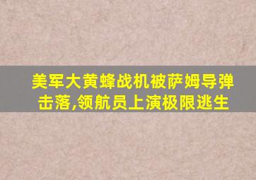 美军大黄蜂战机被萨姆导弹击落,领航员上演极限逃生