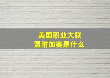 美国职业大联盟附加赛是什么