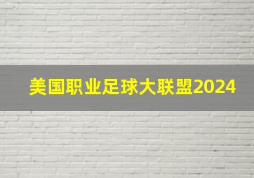 美国职业足球大联盟2024