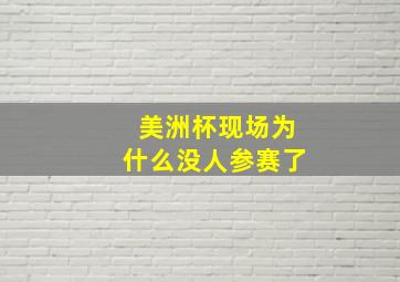 美洲杯现场为什么没人参赛了