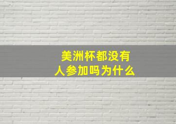 美洲杯都没有人参加吗为什么