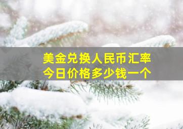 美金兑换人民币汇率今日价格多少钱一个