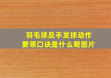 羽毛球反手发球动作要领口诀是什么呢图片