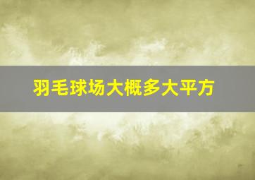 羽毛球场大概多大平方