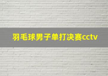 羽毛球男子单打决赛cctv