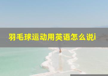 羽毛球运动用英语怎么说i