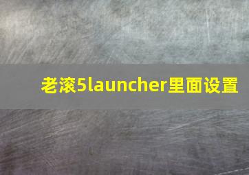 老滚5launcher里面设置