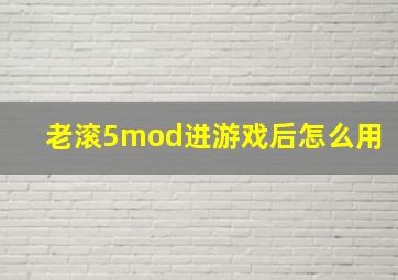 老滚5mod进游戏后怎么用