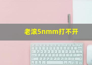 老滚5nmm打不开