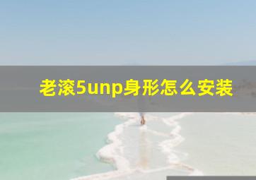 老滚5unp身形怎么安装