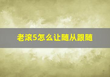 老滚5怎么让随从跟随