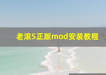 老滚5正版mod安装教程