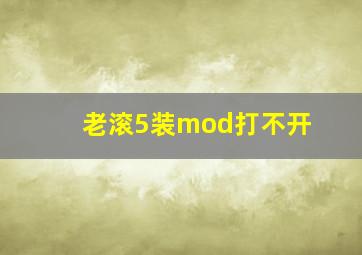 老滚5装mod打不开