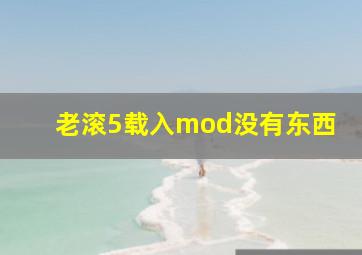 老滚5载入mod没有东西