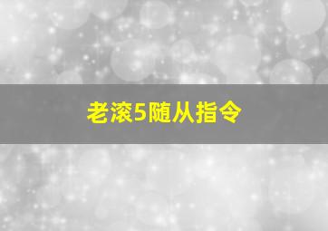 老滚5随从指令