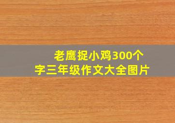 老鹰捉小鸡300个字三年级作文大全图片