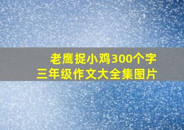 老鹰捉小鸡300个字三年级作文大全集图片