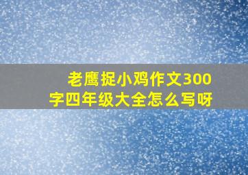 老鹰捉小鸡作文300字四年级大全怎么写呀