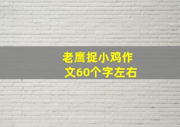 老鹰捉小鸡作文60个字左右