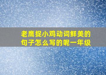 老鹰捉小鸡动词鲜美的句子怎么写的呢一年级