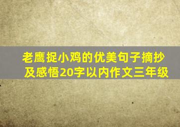 老鹰捉小鸡的优美句子摘抄及感悟20字以内作文三年级