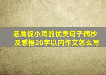 老鹰捉小鸡的优美句子摘抄及感悟20字以内作文怎么写