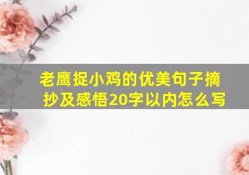 老鹰捉小鸡的优美句子摘抄及感悟20字以内怎么写