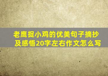 老鹰捉小鸡的优美句子摘抄及感悟20字左右作文怎么写