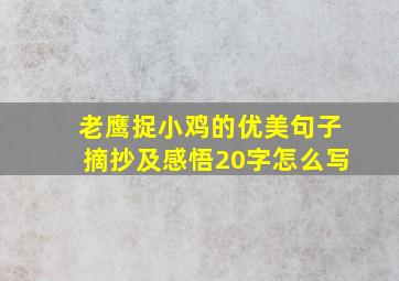 老鹰捉小鸡的优美句子摘抄及感悟20字怎么写