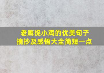 老鹰捉小鸡的优美句子摘抄及感悟大全简短一点